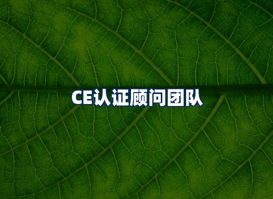 CE认证顾问团队